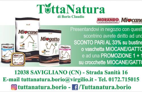 189a27_b88c34772c884bb891bf3821649c0030~mv2